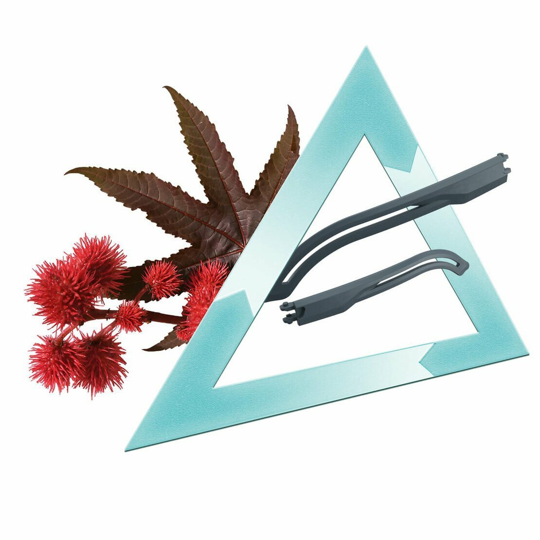Castor oil Castor oil