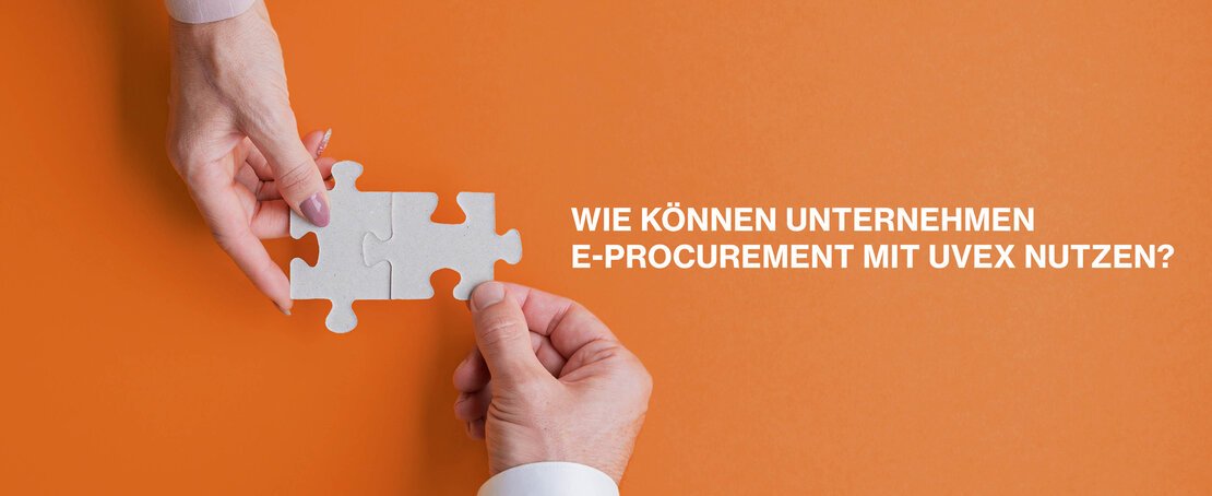 Wie nutze ich als Unternehmen E-Procurement mit uvex? Diese vier Möglichkeiten gibt es. e-procurement-mit-uvex-nutzen