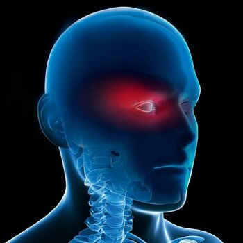 Korrektionsschutz——和Bildschirmbrillen冯uvex