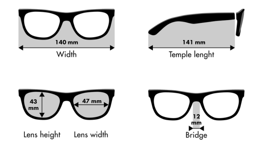 dimensions reading glasses pisa