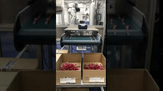 Verfahrensmechaniker uvex Verfahrensmechaniker uvex