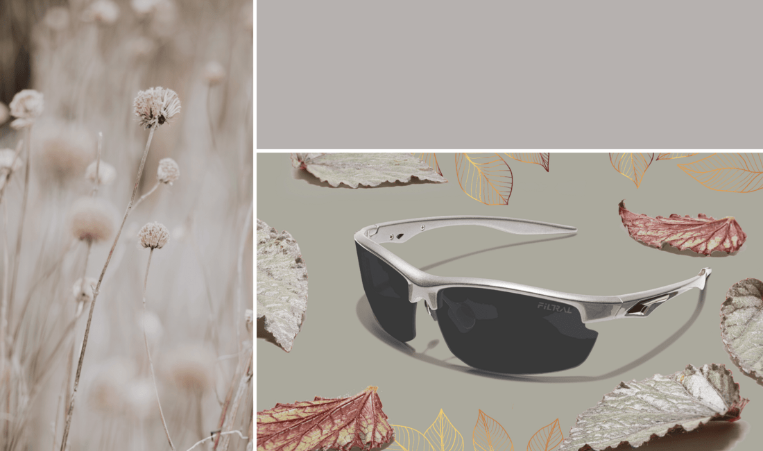 sunglasses inspiration F3096523