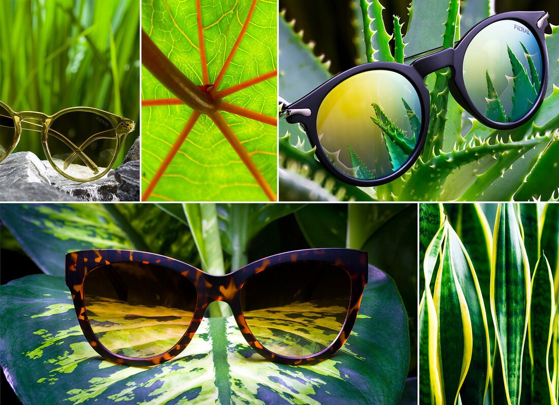 Graphic Filtral Green Line, Sustainable Sunglasses