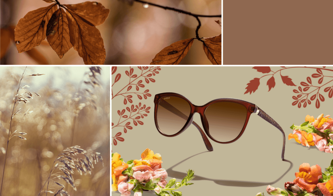 sunglasses inspiration F3099023