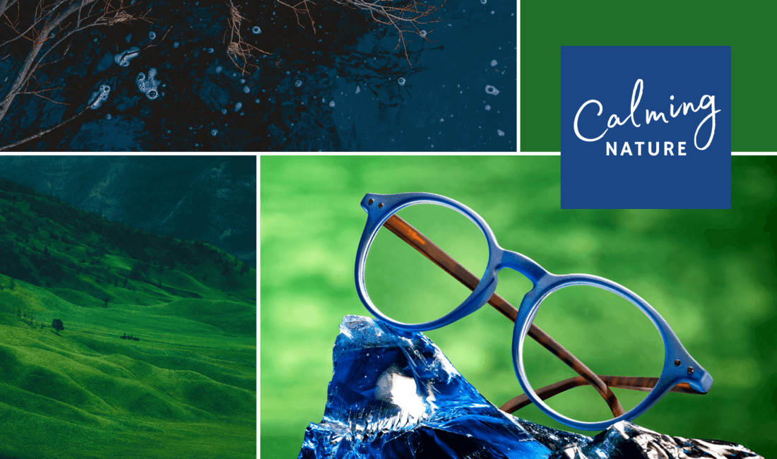 lesebrillen inspiration rio blau