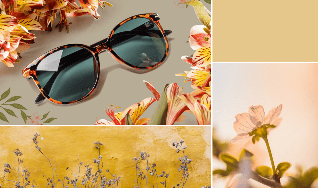 [Translate to Deutsch:] sunglasses inspiration F3095723