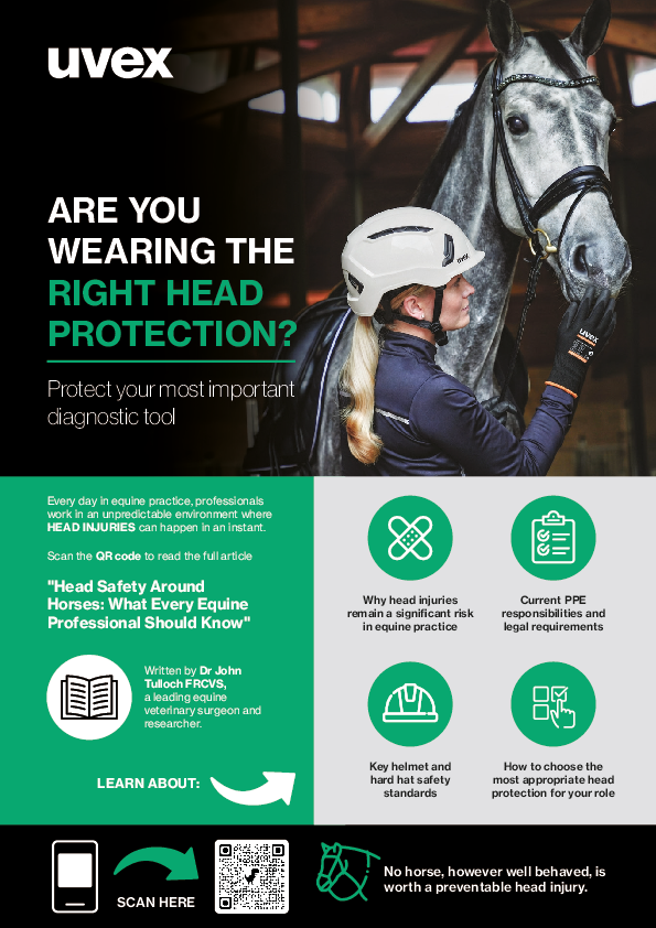 Head Safety Around Horses