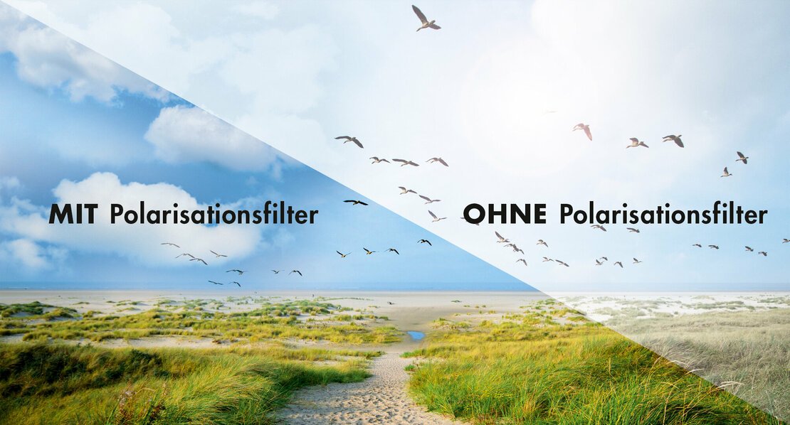 Vergleich mit Polarisationsfilter vs. ohne Polarisationsfilter