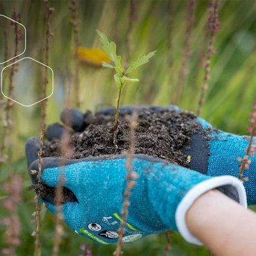 sustainability