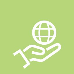 Models and strategies