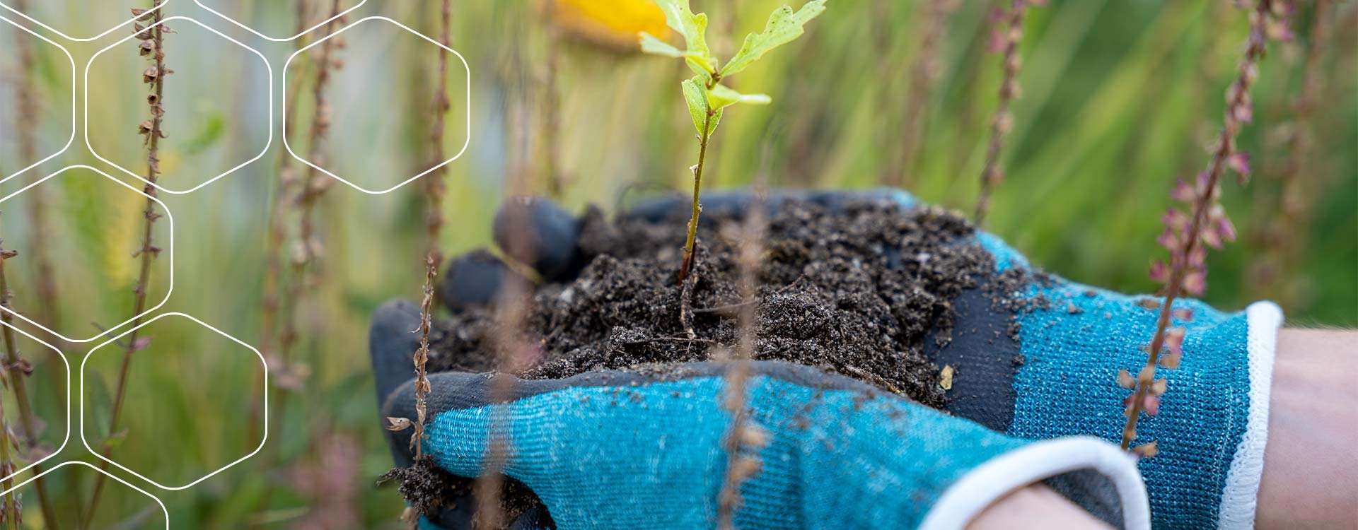 uvex protects people and the planet