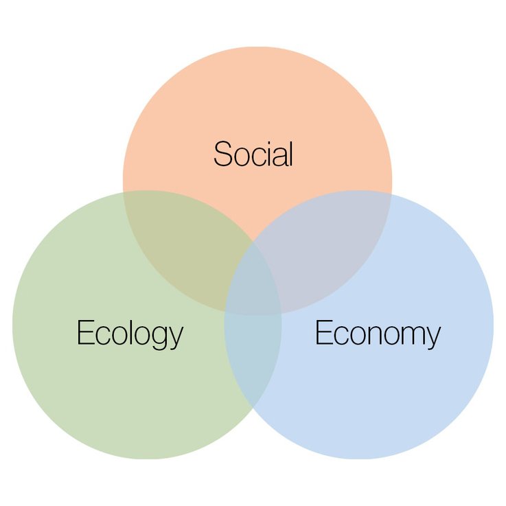 Sustainability Triangle