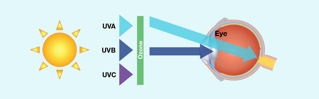 Protecting your eyes from harmful ultraviolet (UV) rays