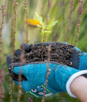 uvex protecting planet range