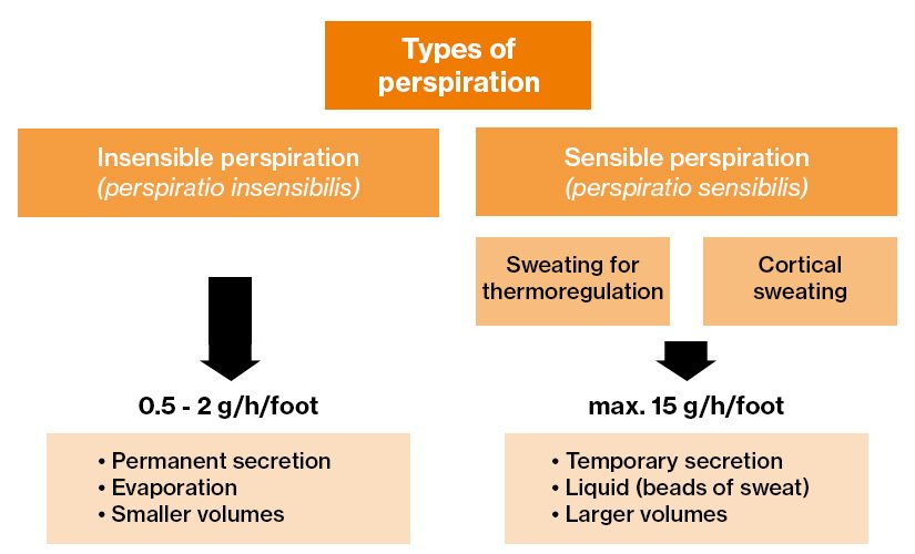 Diagram showing the different kinds of perspiration