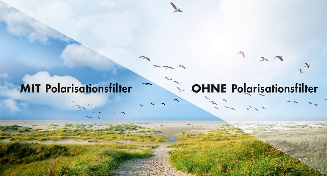 Vergleich mit Polarisationsfilter vs. ohne Polarisationsfilter