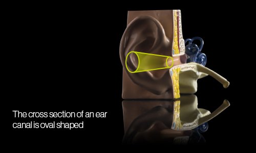 Cross section of an ear canal is oval shaped