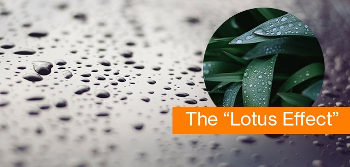 Nano particles create the "lotus effect" on uvex lenses