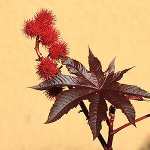 Environmentally friendly materials