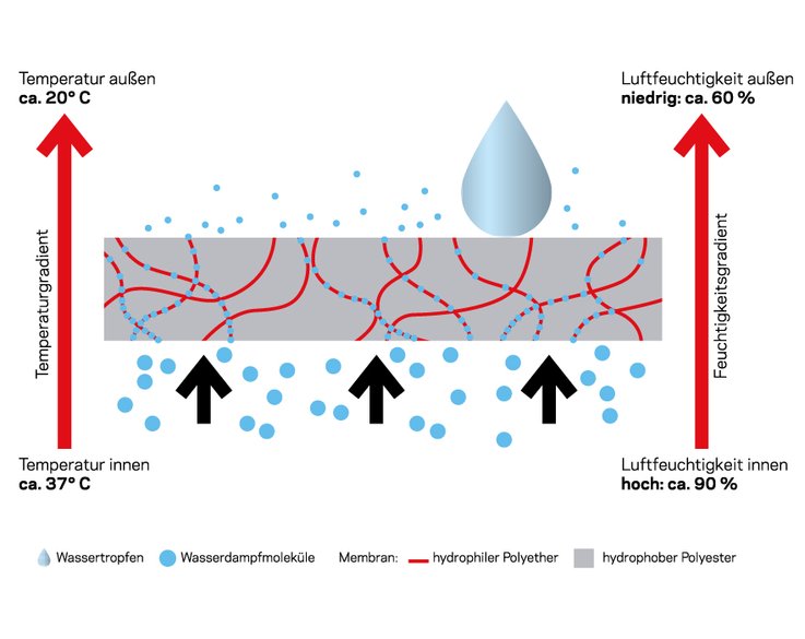 uvex sympatex Technologie für wasserdichte Sicherheitsschuhe x-showcase