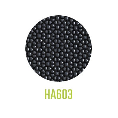 HA603R 