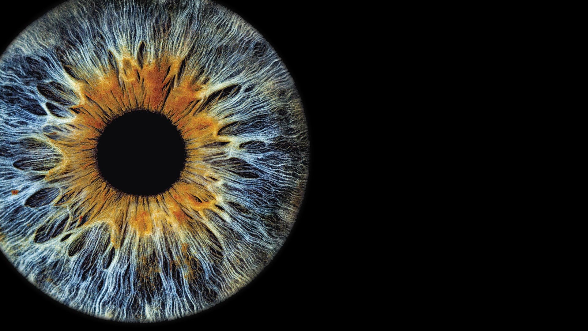 uvex UV400 — 100% protection against UVB and UVA radiation