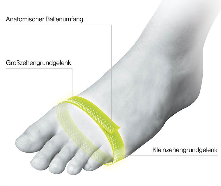 Größentabelle Schuhgröße Sicherheitschuhe