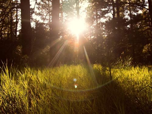 Learn more about UV protection