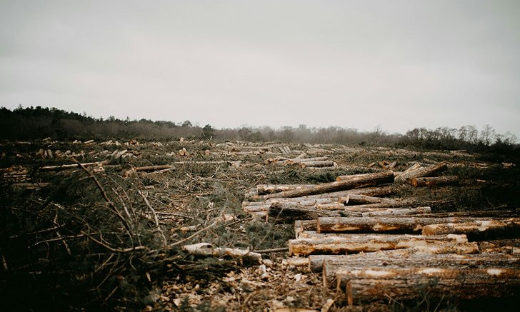 Planetary boundaries