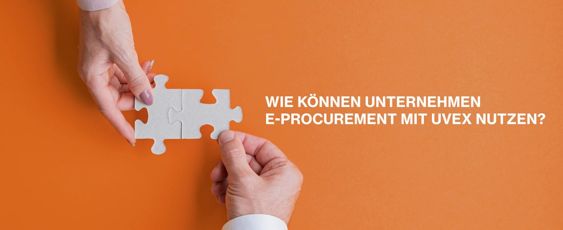 e-procurement-mit-uvex-nutzen