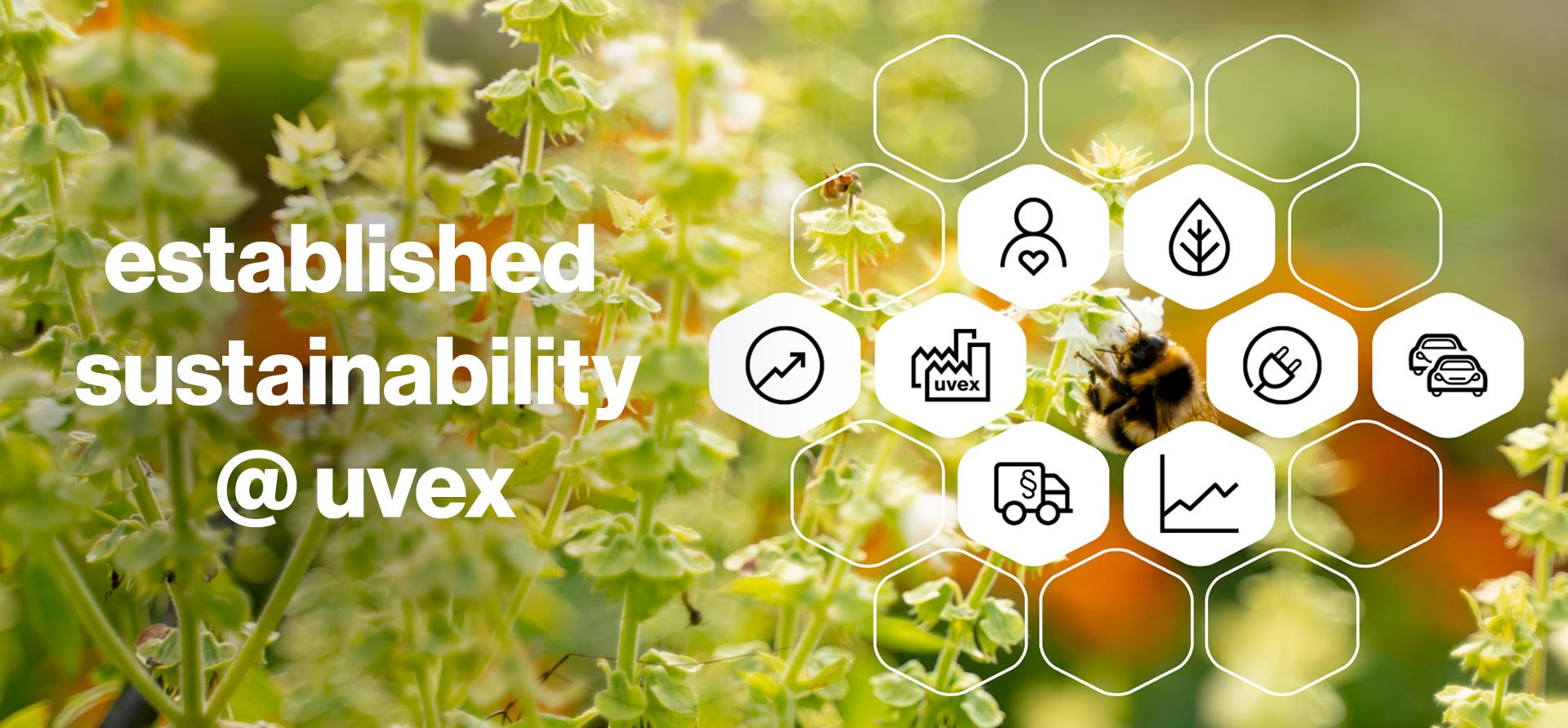 established sustainability at uvex