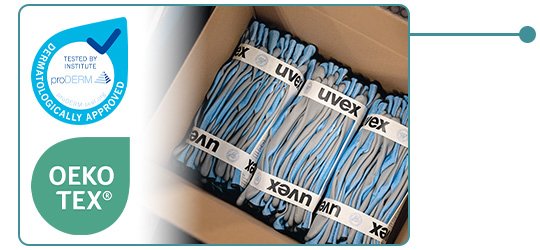 Launch of the phynomic series