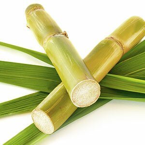 Environmentally friendly materials