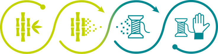 River Chart: from the plant to the glove