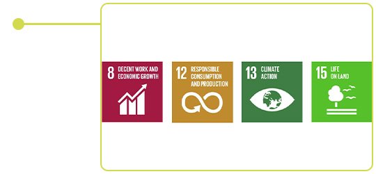 Sustainability Development Goals