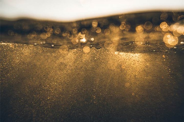 What is a particulate?