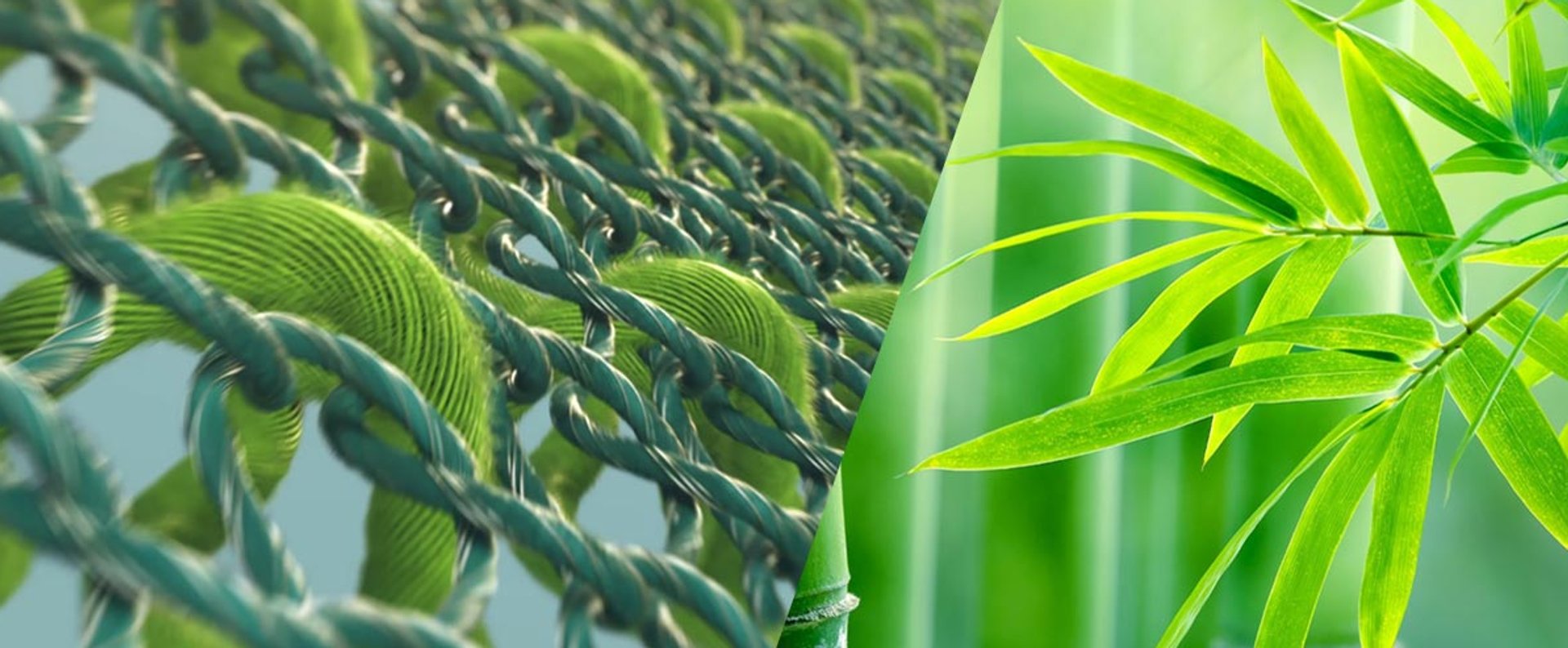 Sustainable: uvex Bamboo TwinFlex Technology