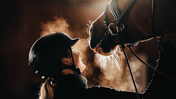 PPE solutions for veterinary professionals
