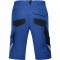 Protective clothing and workwear | Bermuda shorts — uvex suXXeed industry