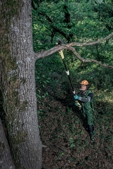 Safety helmets | uvex pheos forestry