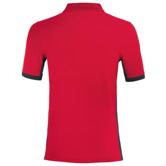 Protective clothing and workwear | Polo shirt — uvex suXXeed industry