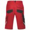 Schutzbekleidung und Workwear | uvex suXXeed industry Bermuda Herren