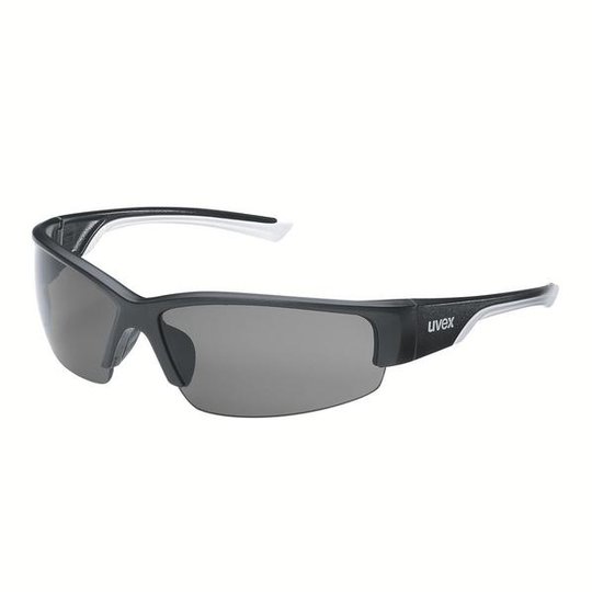 Lunettes de protection | Lunettes à branches uvex polavision