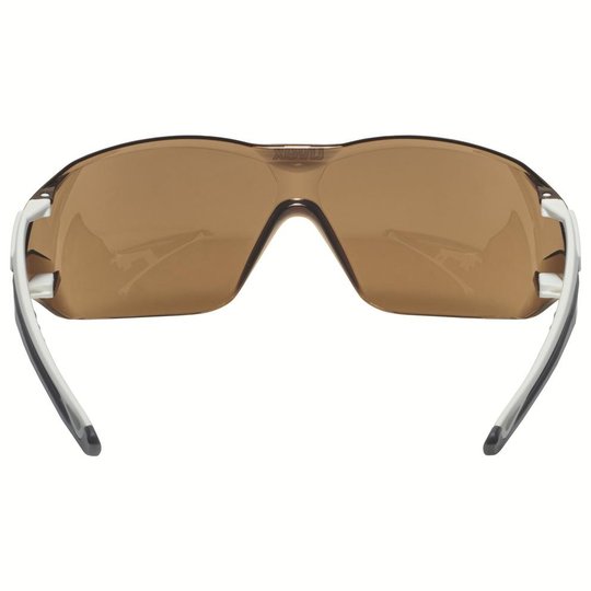Protection des yeux | Lunettes à branches uvex pheos nxt