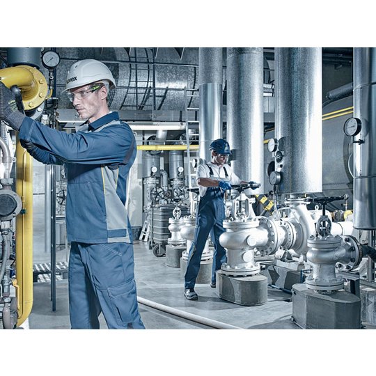 Lunettes de protection | Lunettes à branches uvex pheos