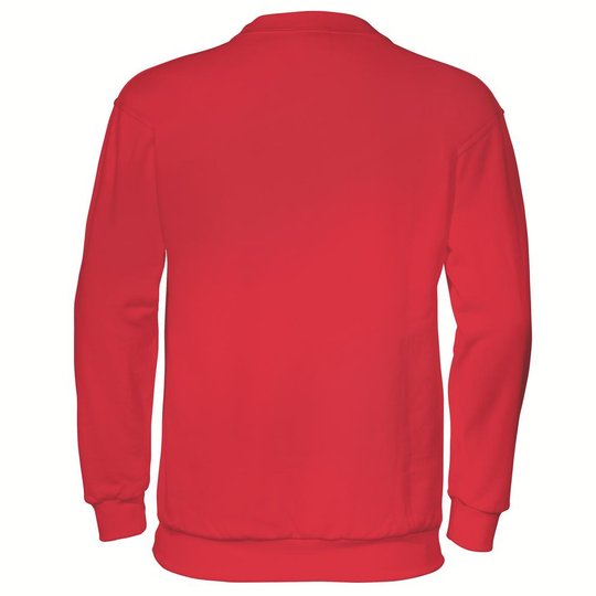 Protective clothing and workwear | uvex Basic sweatshirt