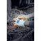 Needlestick protection glove HexArmor® SharpsMaster II® 9014