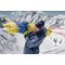 Safety gloves | uvex unilite thermo plus cut c safety glove