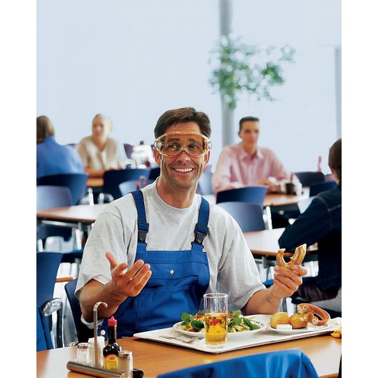 Safety glasses | uvex ultrasonic goggles