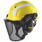 Safety helmets | uvex pheos forestry